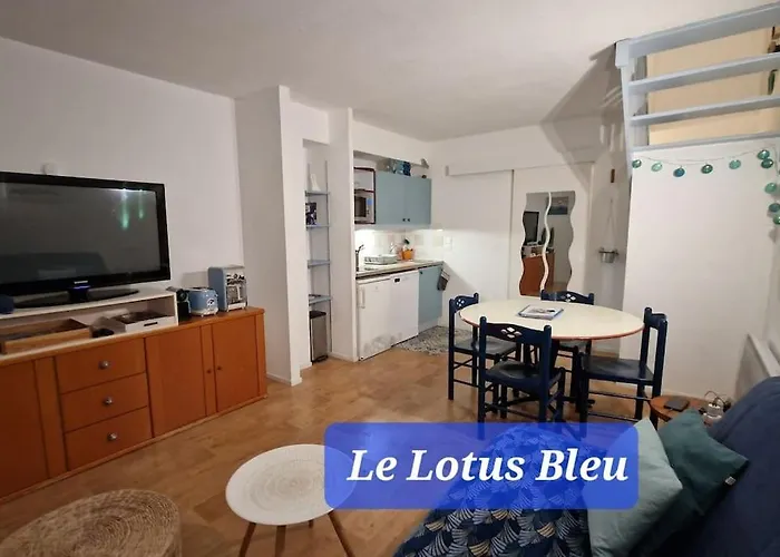 Le Lotus Bleu